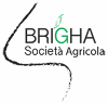 SOCIETÀ AGRICOLA BRIGHA SRL