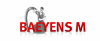 BAEYENS M CHEMINEES