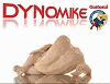 DYNOMIKE SRL