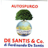 AUTOSPURGO DE SANTIS & CO DI DE SANTIS FERDINANDO