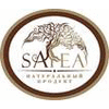 SATEA LLC