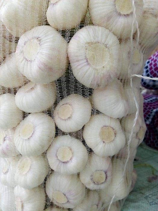 Egyptian Fresh Garlic