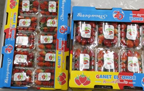 Egyptian Strawberries 